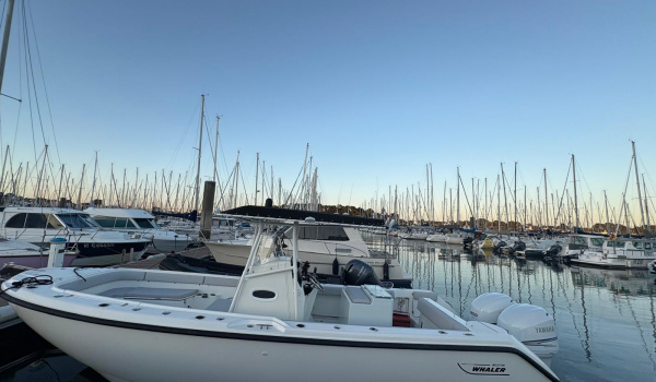 Boston whaler outrage 260 amarré au port de la trinité-sur-mer | Rioux Nautique