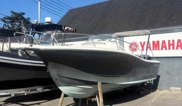 Achat White Shark 228 + Yamaha F250 AETX (2008 & 690h)